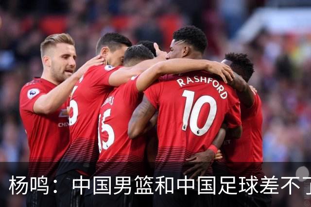 杨鸣：中国男篮和中国足球差不了太多，没有气场，失去了绝对优势